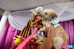 Masaya celebra un año más a San Lázaro con el tradicional desfile de mascotas