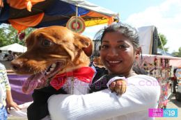 Masaya celebra un año más a San Lázaro con el tradicional desfile de mascotas