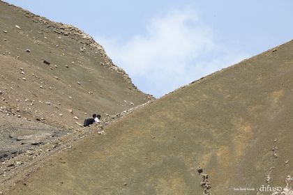 Más fotografías del recorrido de Sam Cossman por los volcanes del país