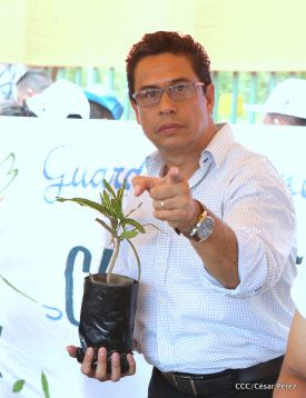 Movimiento Guardabarranco entrega árboles