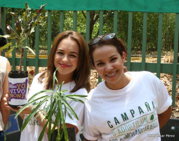 Movimiento Guardabarranco entrega árboles