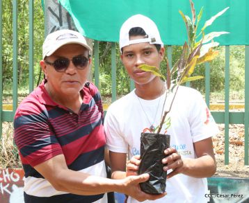 Movimiento Guardabarranco entrega árboles