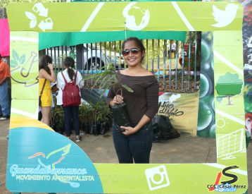 Movimiento Guardabarranco entrega árboles