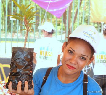 Movimiento Guardabarranco entrega árboles