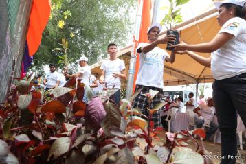 Movimiento Guardabarranco entrega árboles