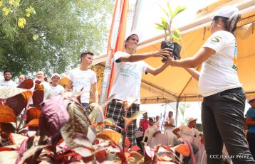 Movimiento Guardabarranco entrega árboles