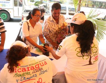 Movimiento Guardabarranco entrega árboles