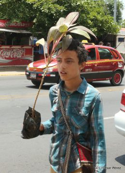 Movimiento Guardabarranco entrega árboles