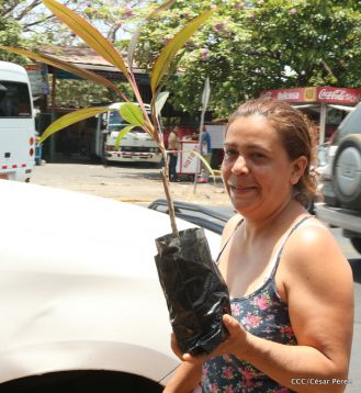 Movimiento Guardabarranco entrega árboles