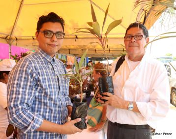 Movimiento Guardabarranco entrega árboles