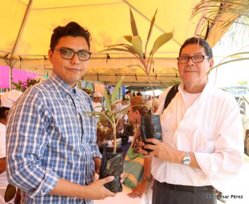 Movimiento Guardabarranco entrega árboles