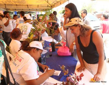 Movimiento Guardabarranco entrega árboles