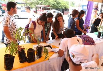 Movimiento Guardabarranco entrega árboles