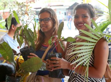 Movimiento Guardabarranco entrega árboles