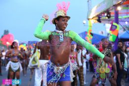 XV Edición del Carnaval Alegría por la Vida