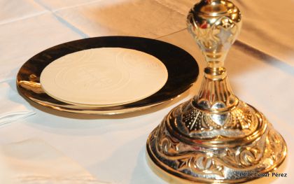 Juventud católica celebra efusivo homenaje al Cardenal Brenes