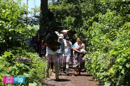 Entrega de apoyo solidario del Gobierno Sandinista a familias de Chinandega
