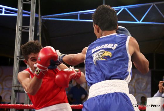 Velada boxística en homenaje a Alexis Argüello