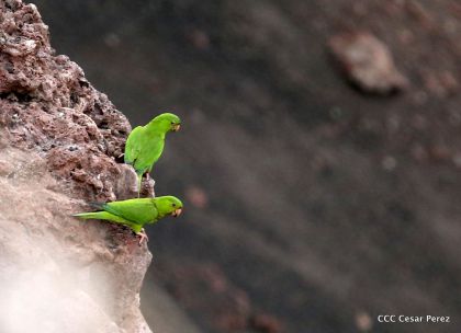 Exploración del volcán Masaya avanza satisfactoriamente