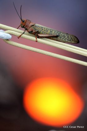Exploración del volcán Masaya avanza satisfactoriamente