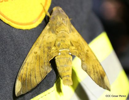 Exploración del volcán Masaya avanza satisfactoriamente