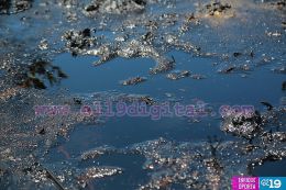 Culmina incendio en Puerto Sandino