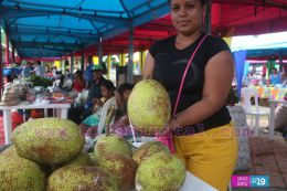 Managua une a los Santos Patronos de todo el país