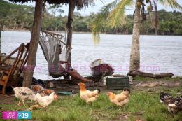 Comisión realiza gira por Punta Gorda