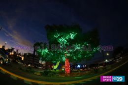 Enciendo el Árbol de Navidad más grande de Nicaragua