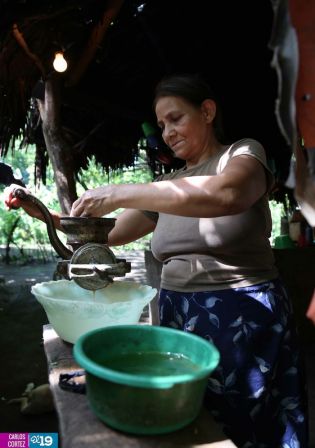 Gobierno lleva energía eléctrica a comunidades de León