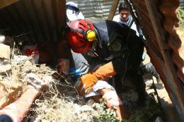 Primer Ejercicio de Preparación y Salvaguarda de la vida frente a las multiamenzas