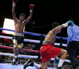 Cartelera boxística de Bufalo Boxing