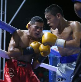 Cartelera boxística de Bufalo Boxing