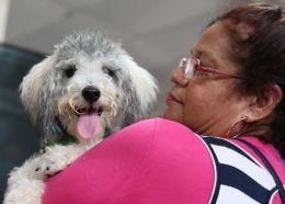 Celebración de las festividades de San Lázaro en Masaya