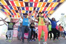 Bienvenida al Verano 2017