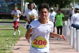 Bienvenida al Verano 2017