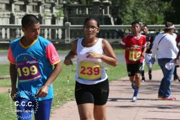 Bienvenida al Verano 2017