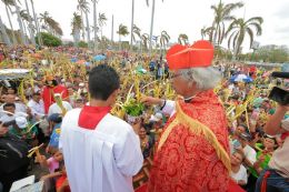 Domingo de Ramos en la Catedral de Managua
