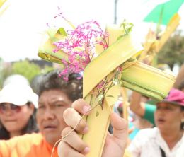 Domingo de Ramos en la Catedral de Managua