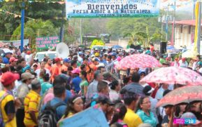 Amor a la Naturaleza, Corazón Verde
