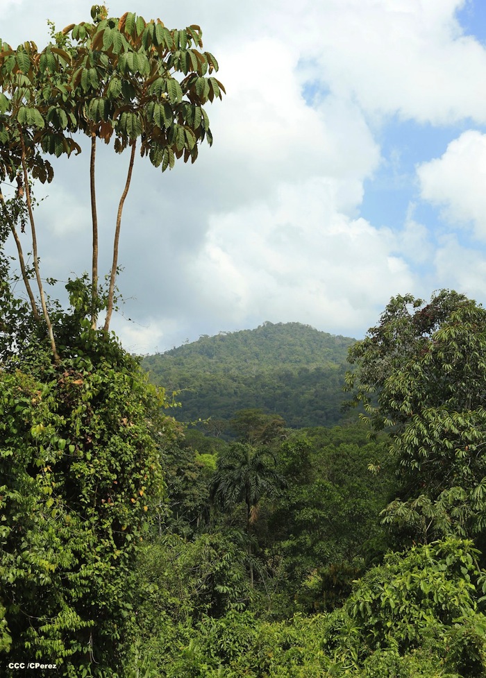 Puestos de Control Ecológicos dirigidos a proteger Reserva Bosawás 