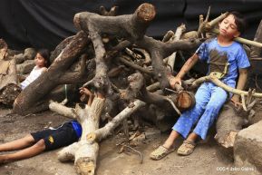  Segundo Ejercicio Nacional de Protección de la Vida frente a las Multiamenazas