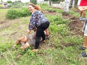  Segundo Ejercicio Nacional de Protección de la Vida frente a las Multiamenazas