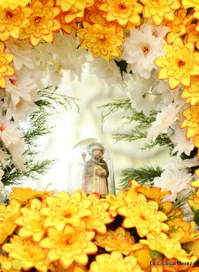 Miles de fieles acompañan a Santo Domingo en su regreso a Las Sierritas