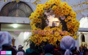 Miles de fieles acompañan a Santo Domingo en su regreso a Las Sierritas