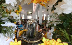 Santo Domingo ya se encuentra en su trono de Las Sierritas