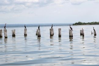 Crucero llegará al puerto Salvador Allende en próximos días