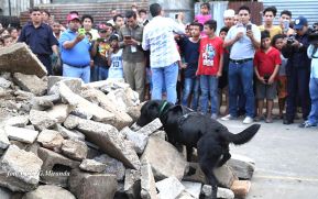 Tercer Ejercicio Nacional para la Protección de la Vida