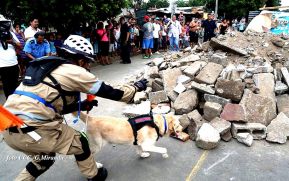 Tercer Ejercicio Nacional para la Protección de la Vida