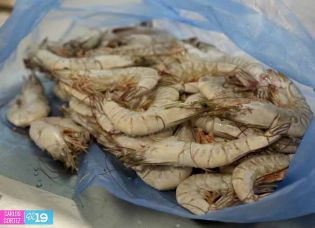 Camaronicultura en Nicaragua